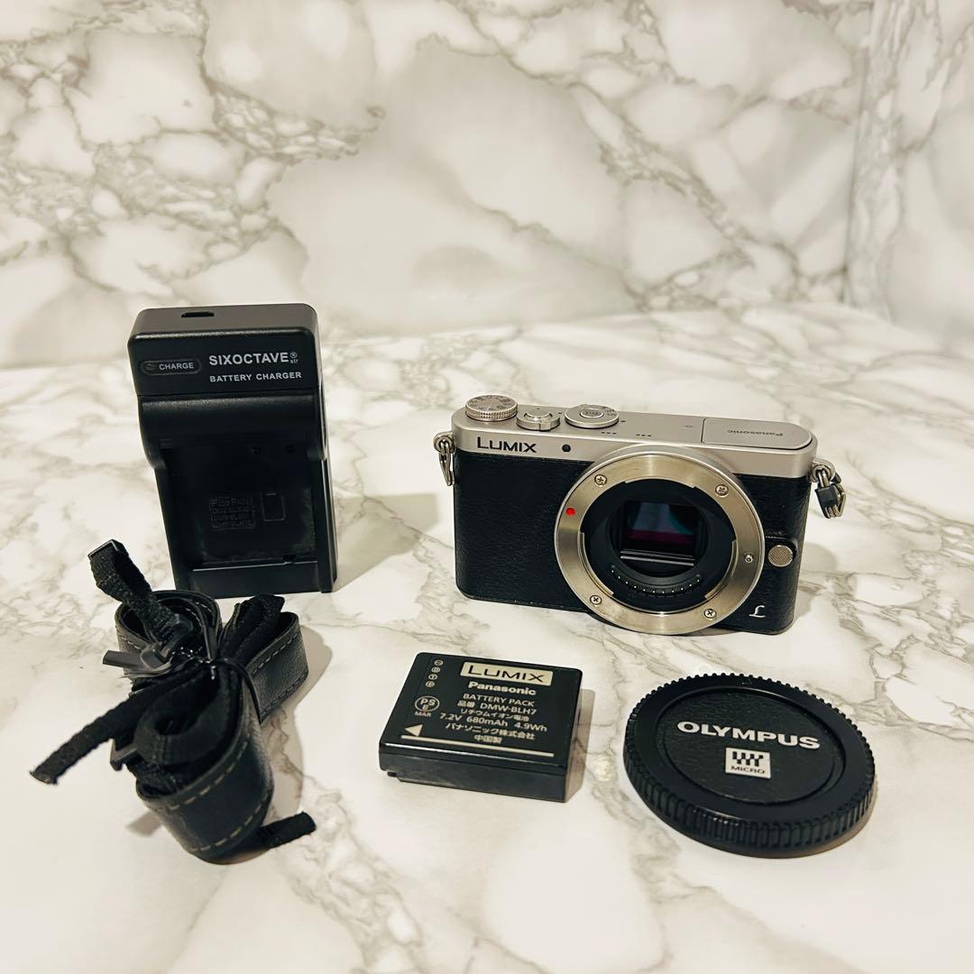 Panasonic デジタル一眼カメラ LUMIX DMC-GM1 ボディ
