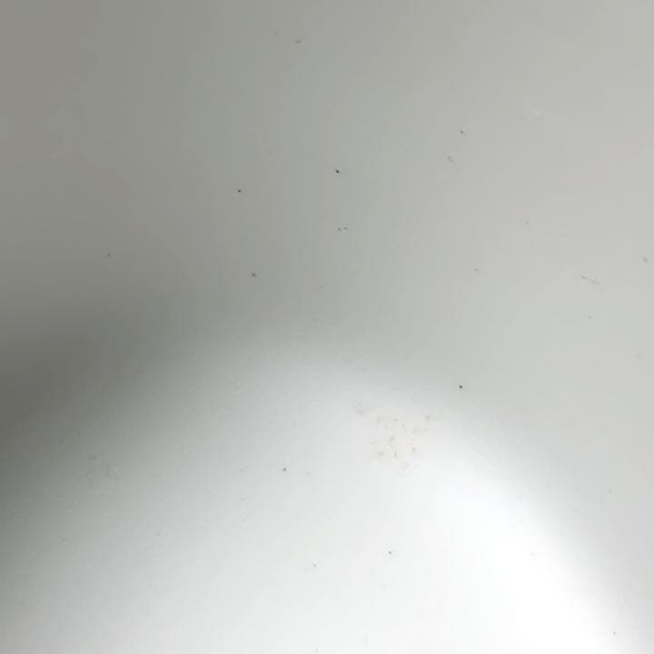 有田焼 花づくし / 花柄  蓋付 容器 / キャニスター