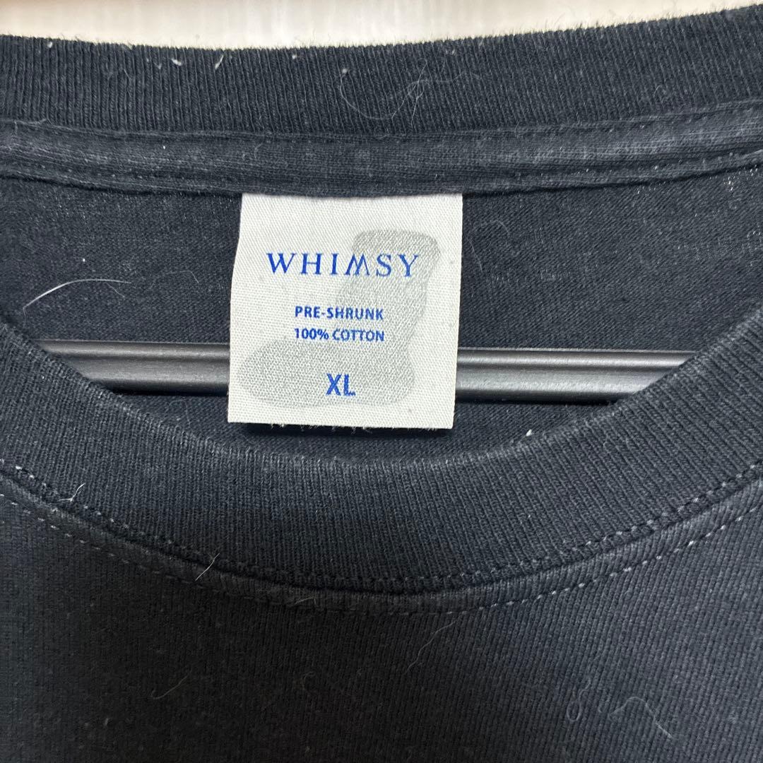 GEZAN ロンT BEAMS WIMSY