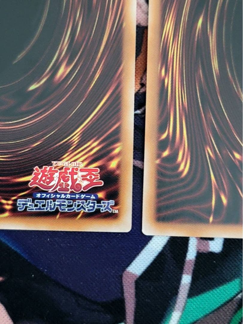 白銀の城の召使い アリアンナ プリシク 2枚