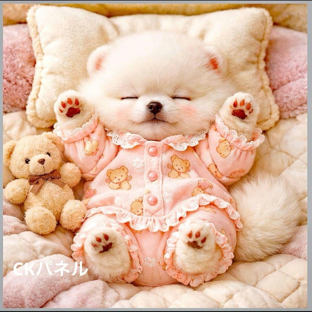 激レアおねんねポメラニアンパネル生地　ハンドメイド