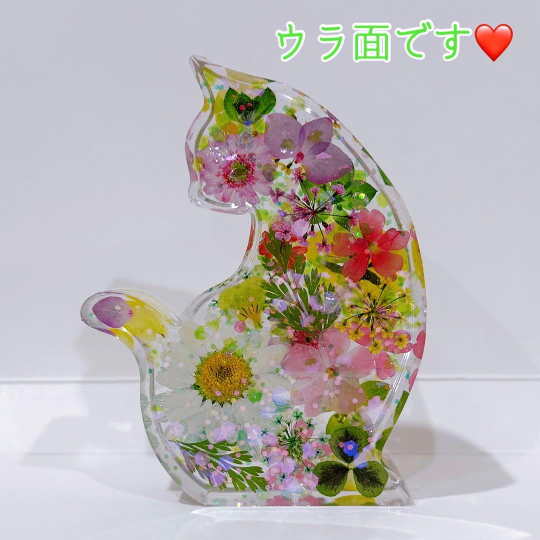 完売御礼⭐️No.438⭐️固まるハーバリウム✨にゃんこ 置物 ネコ ミツバ入り