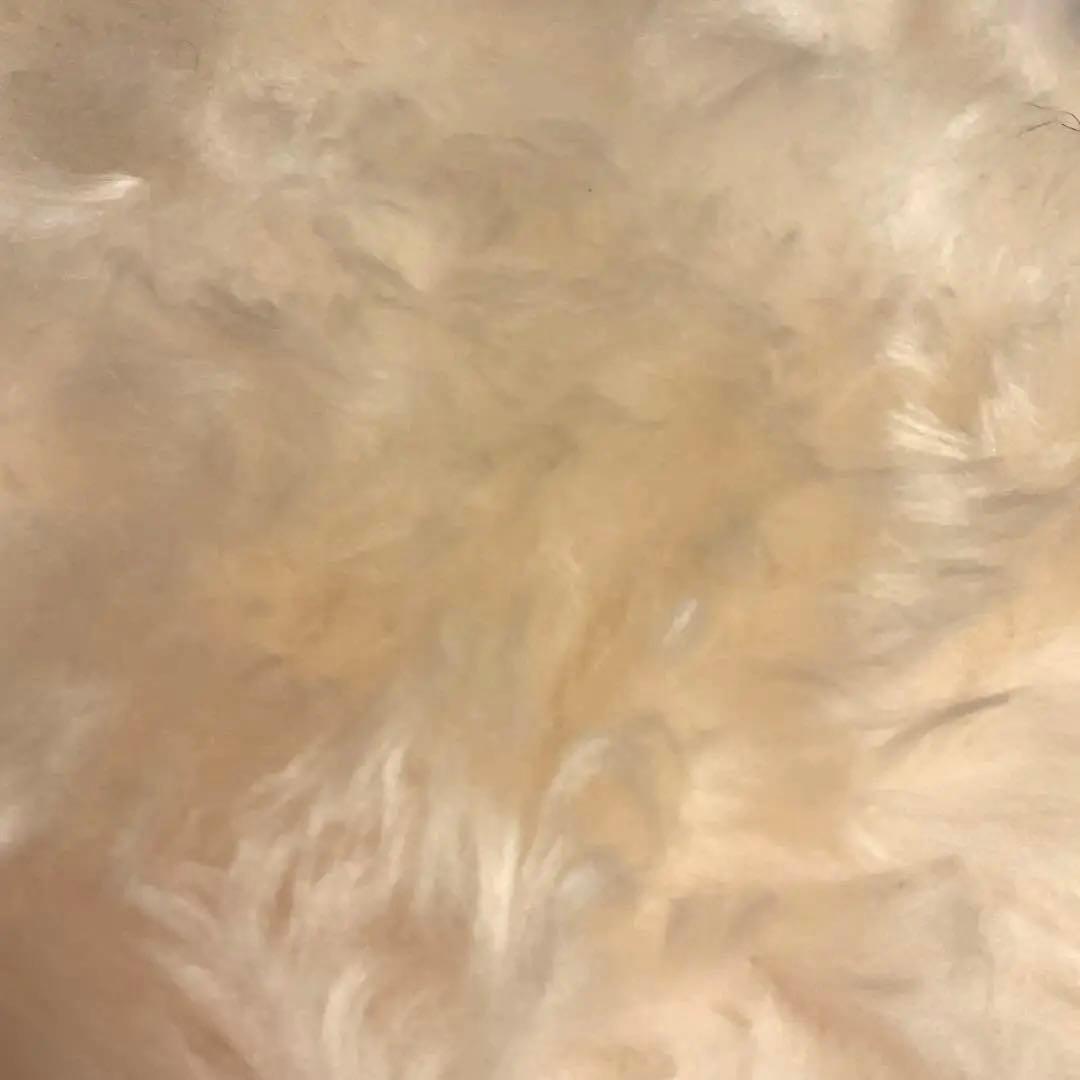 ニチロ毛皮　高品質なムートンクッション　オールシーズンOK 2枚