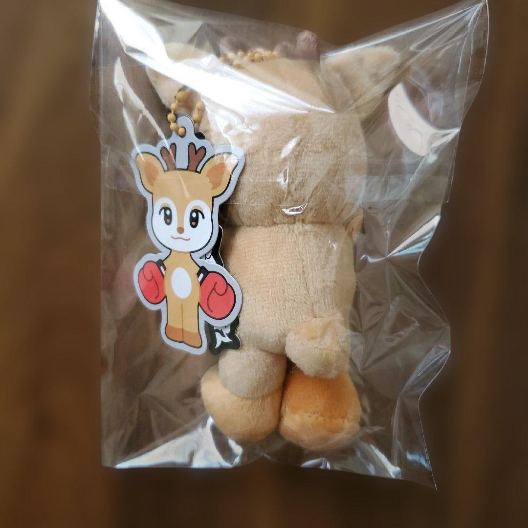 アイドル NEXZ SEITA