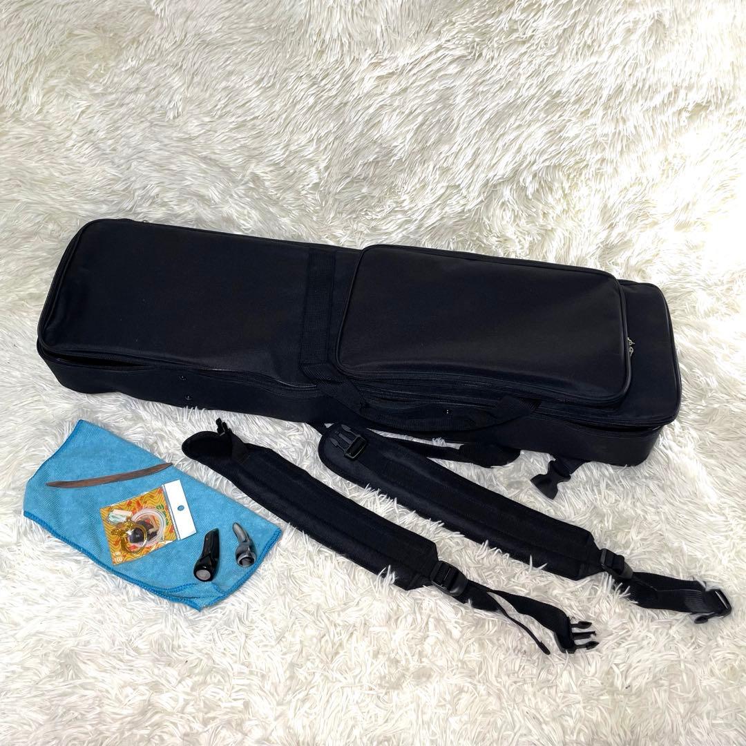 【美品】沖縄三線 人工皮 初心者向け 専用ケース付き