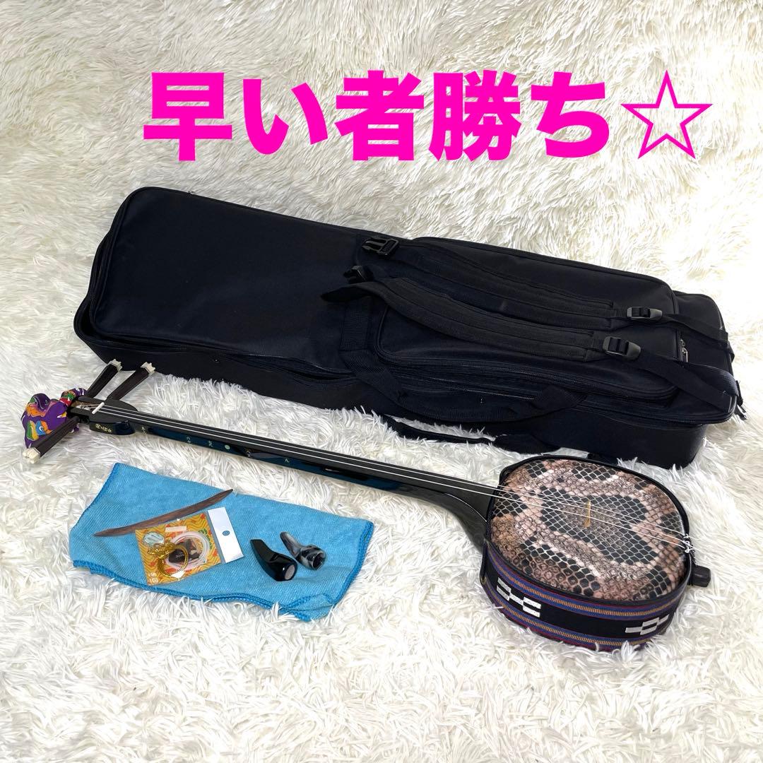 【美品】沖縄三線 人工皮 初心者向け 専用ケース付き
