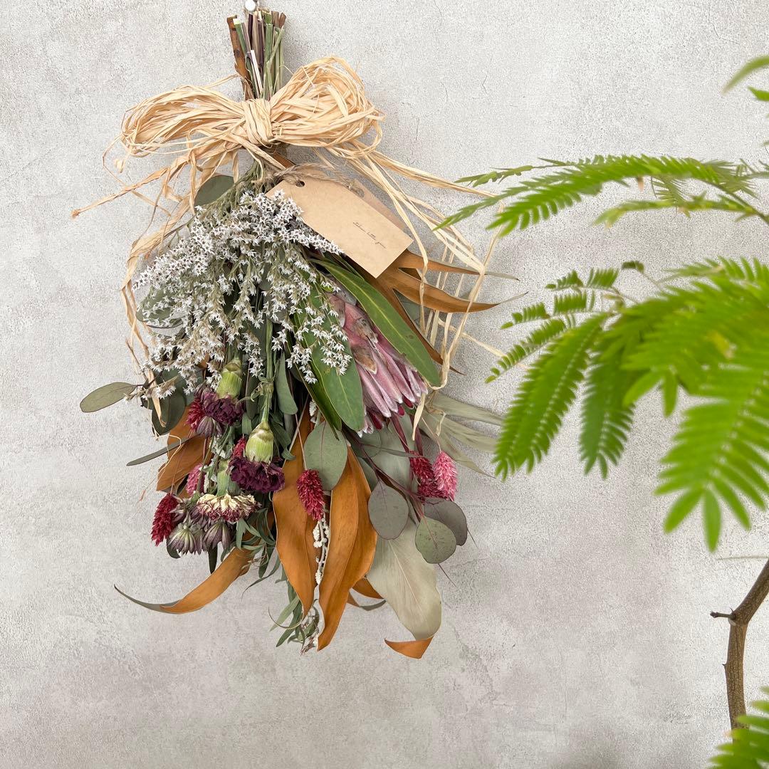 * * ナチュラルスワッグ カーネーション プロテアピンクアイス ラッピング無料