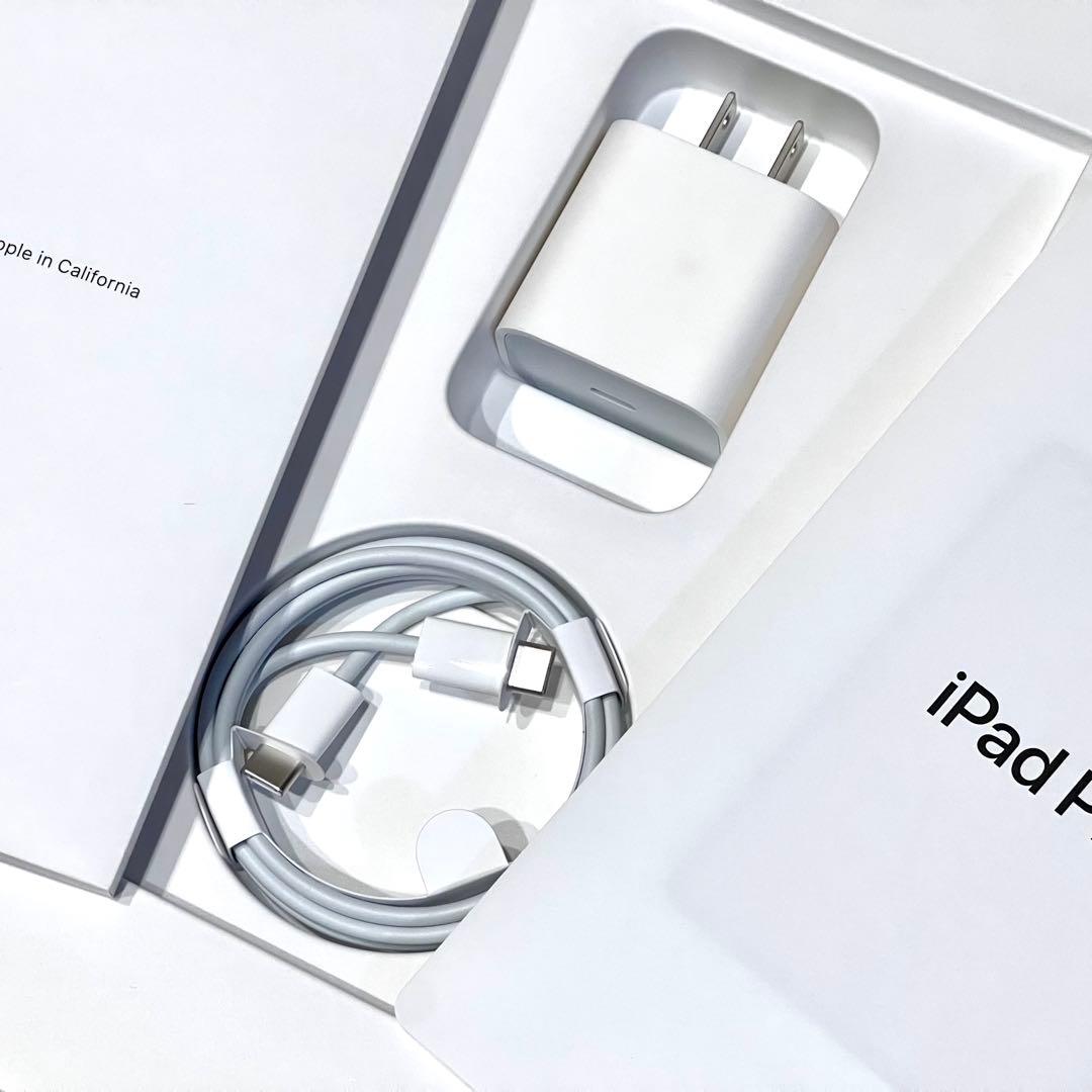 【超美品!!】iPad Pro 11インチ Cellularモデル 256GB