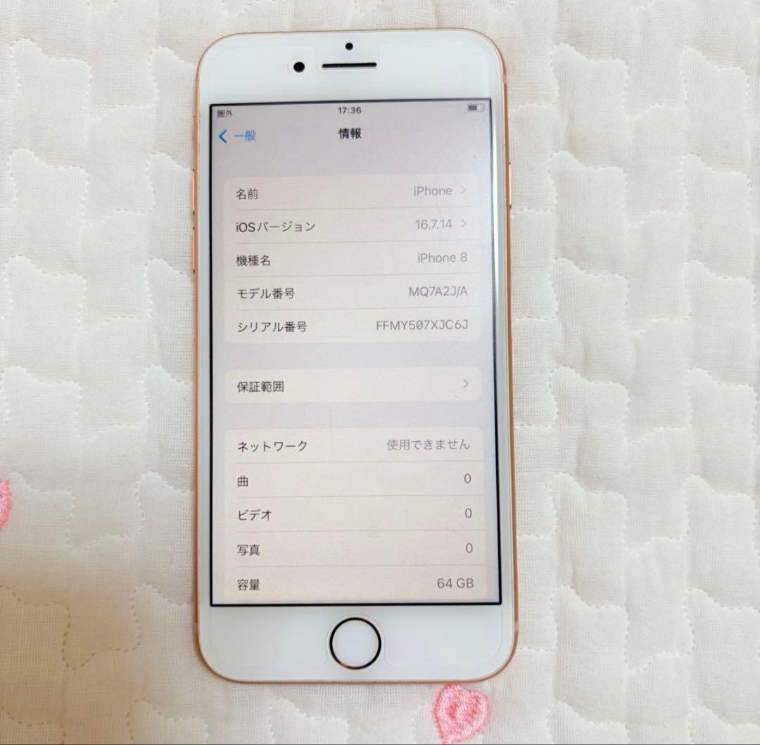 iPhone8 64GB 本体　イヤホン　ケーブル　コネクタ