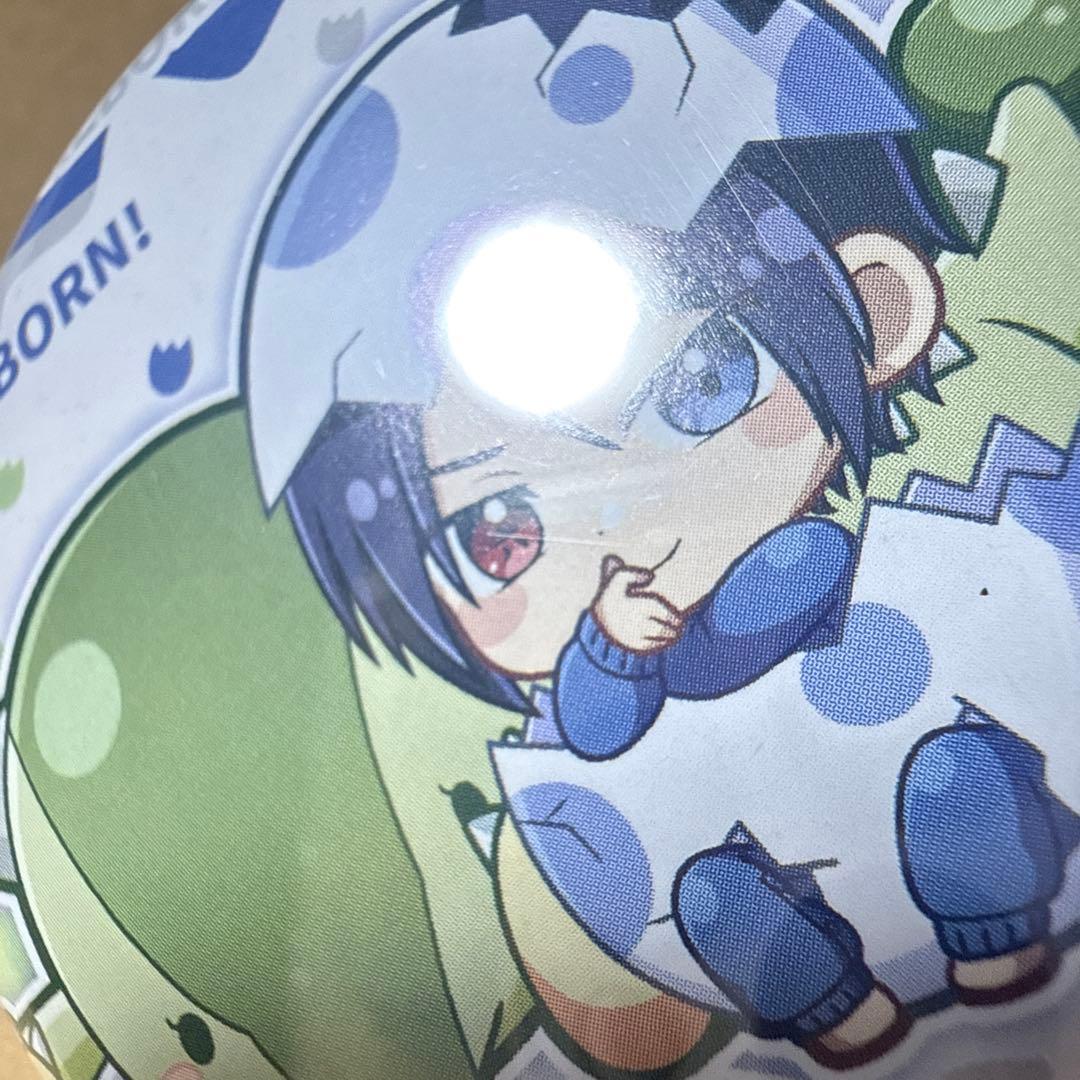 家庭教師ヒットマンREBORN ぎゃおこれ 缶バッジ 7点セット