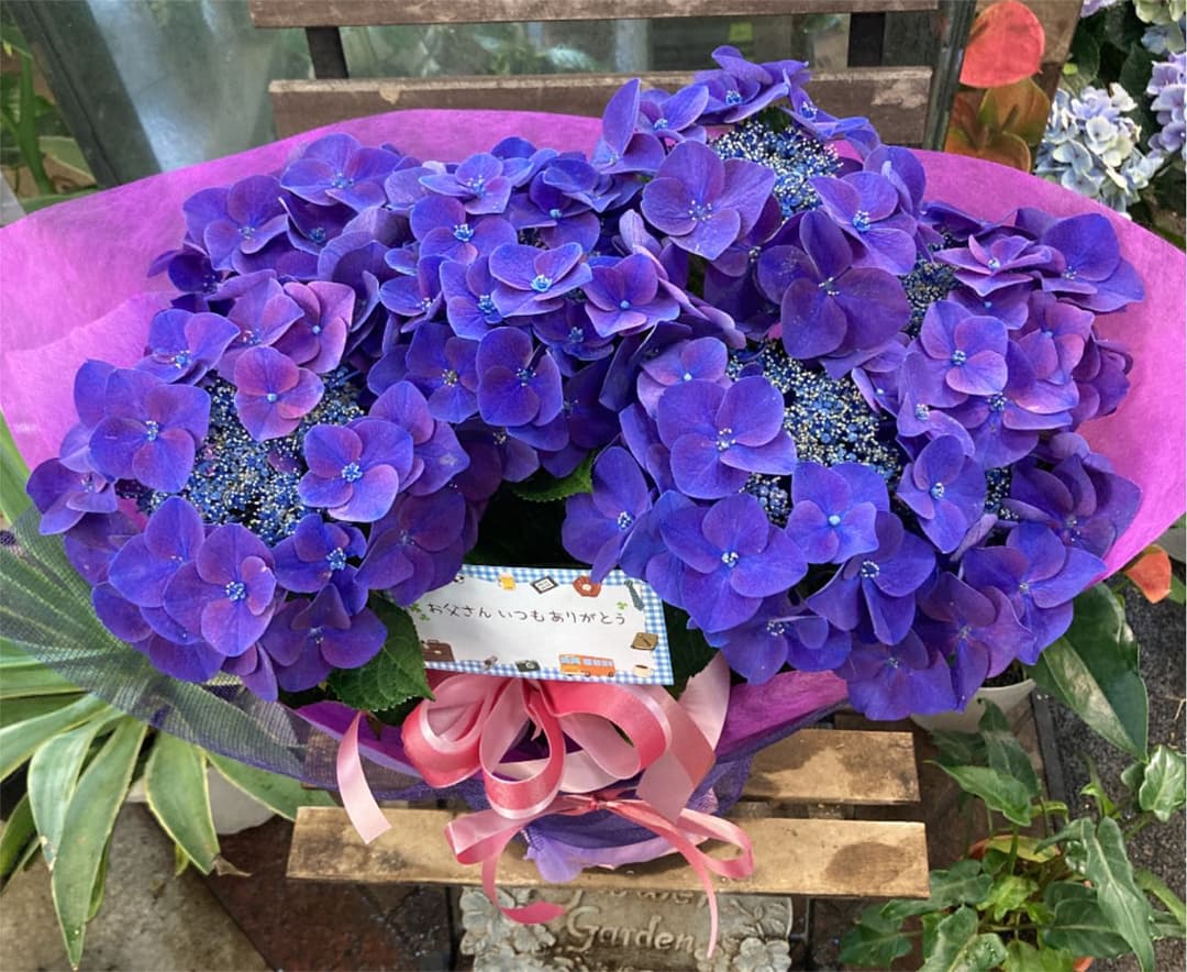紫陽花　フリスビー　5寸鉢　ご確認画面