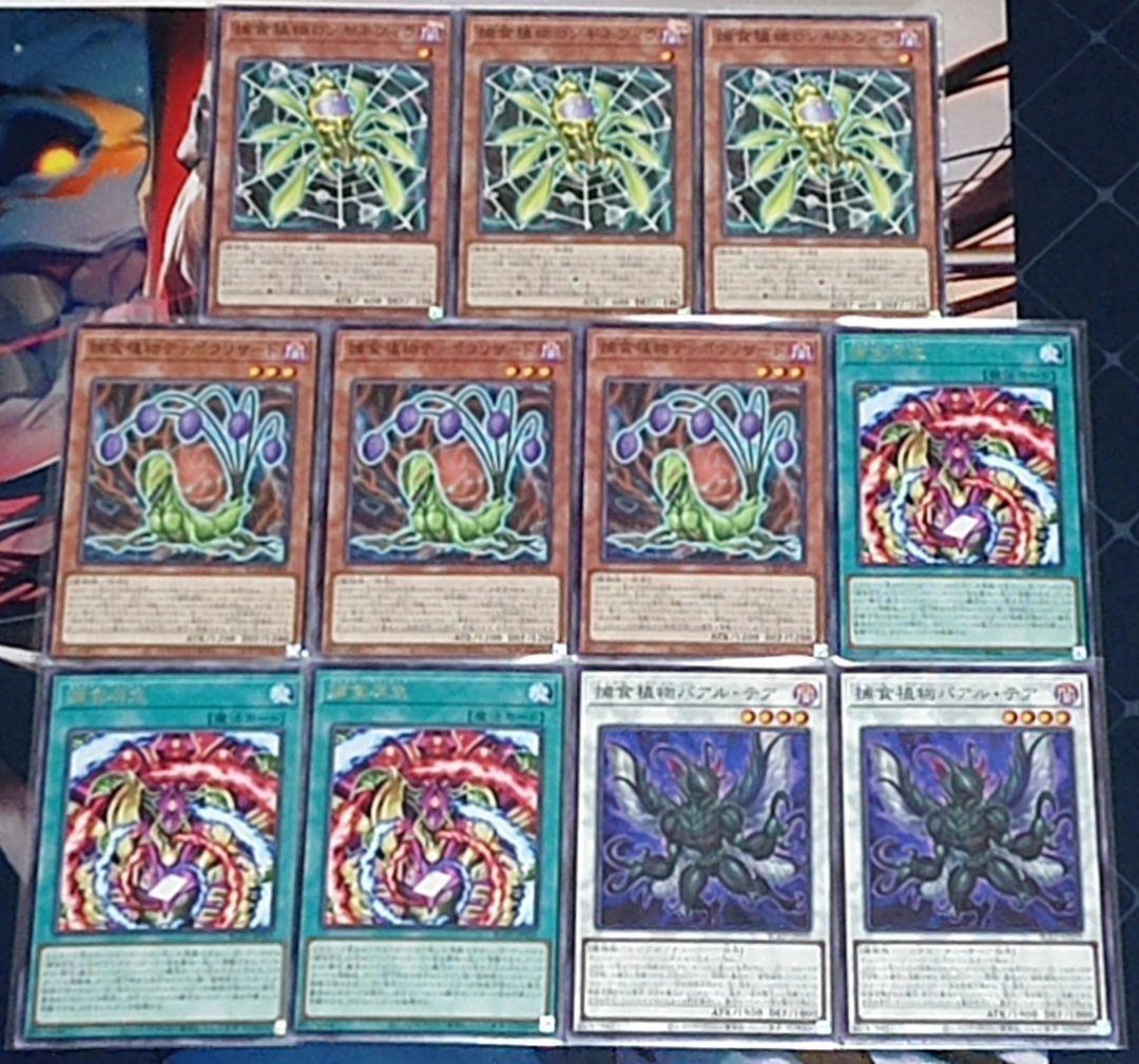 遊戯王 捕食植物 デッキパーツ ウルトラ 日版