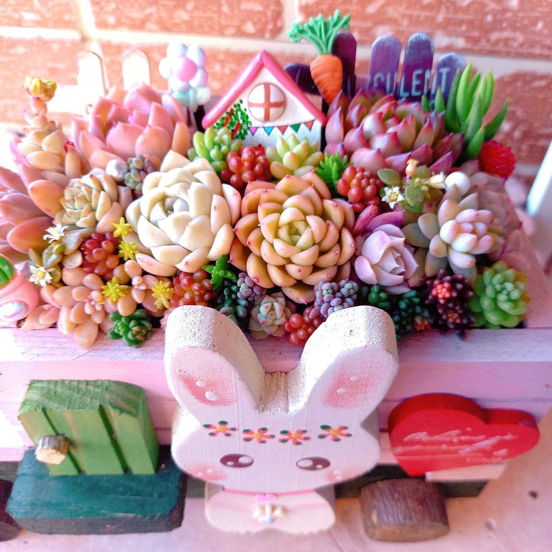 ❤️多肉植物❤️そのまま飾れる寄せ植え❤️うさぎちゃん~❤️
