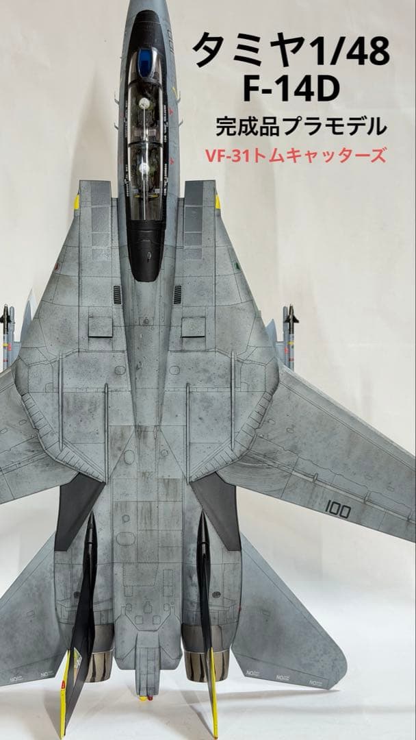 タミヤ1/48 F-14D TOMCATトムキャッターズ仕様 完成品