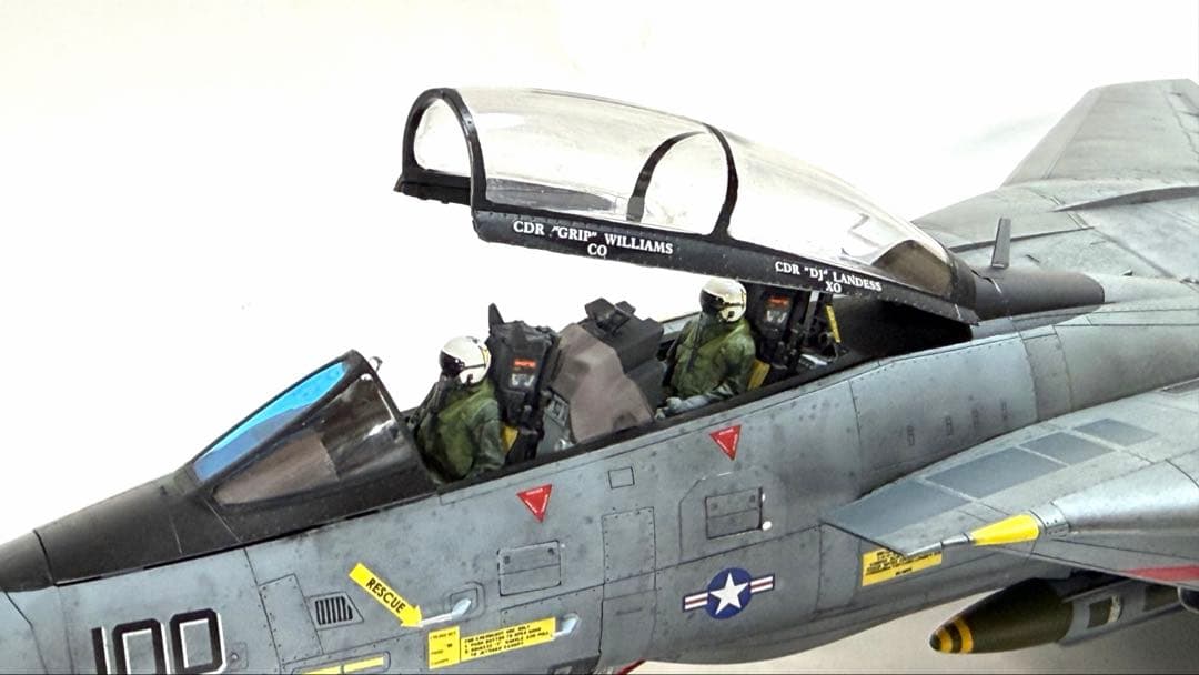 タミヤ1/48 F-14D TOMCATトムキャッターズ仕様 完成品