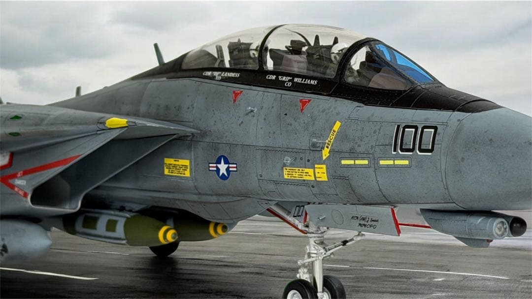 タミヤ1/48 F-14D TOMCATトムキャッターズ仕様 完成品