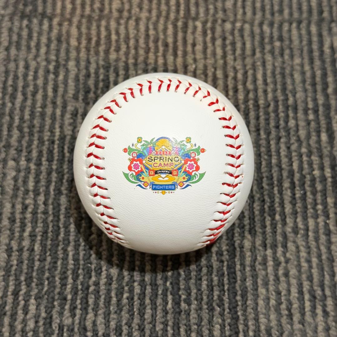 北海道日本ハムファイターズ 達孝太 直筆サインボール キャンプロゴ