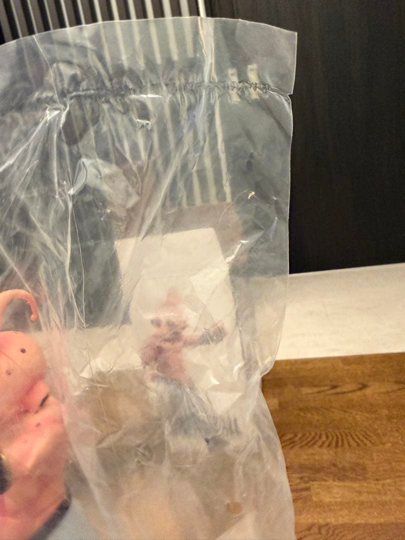 ドラゴンボール 一番くじ フィギュア 魔人ブウ F賞 国内正規品