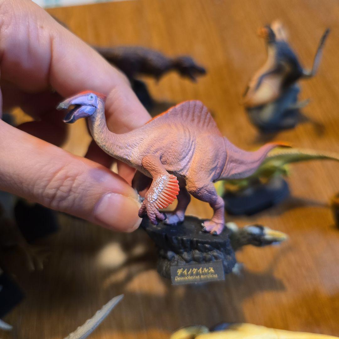 恐竜展 恐竜フィギュア 14体セット