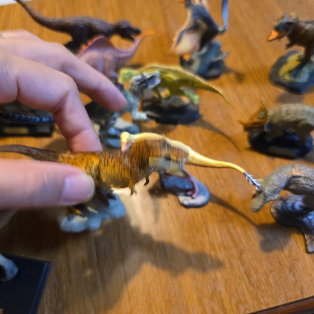 恐竜展 恐竜フィギュア 14体セット