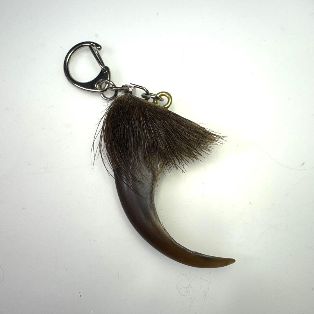 羆 熊の爪 お守り6、5cm
