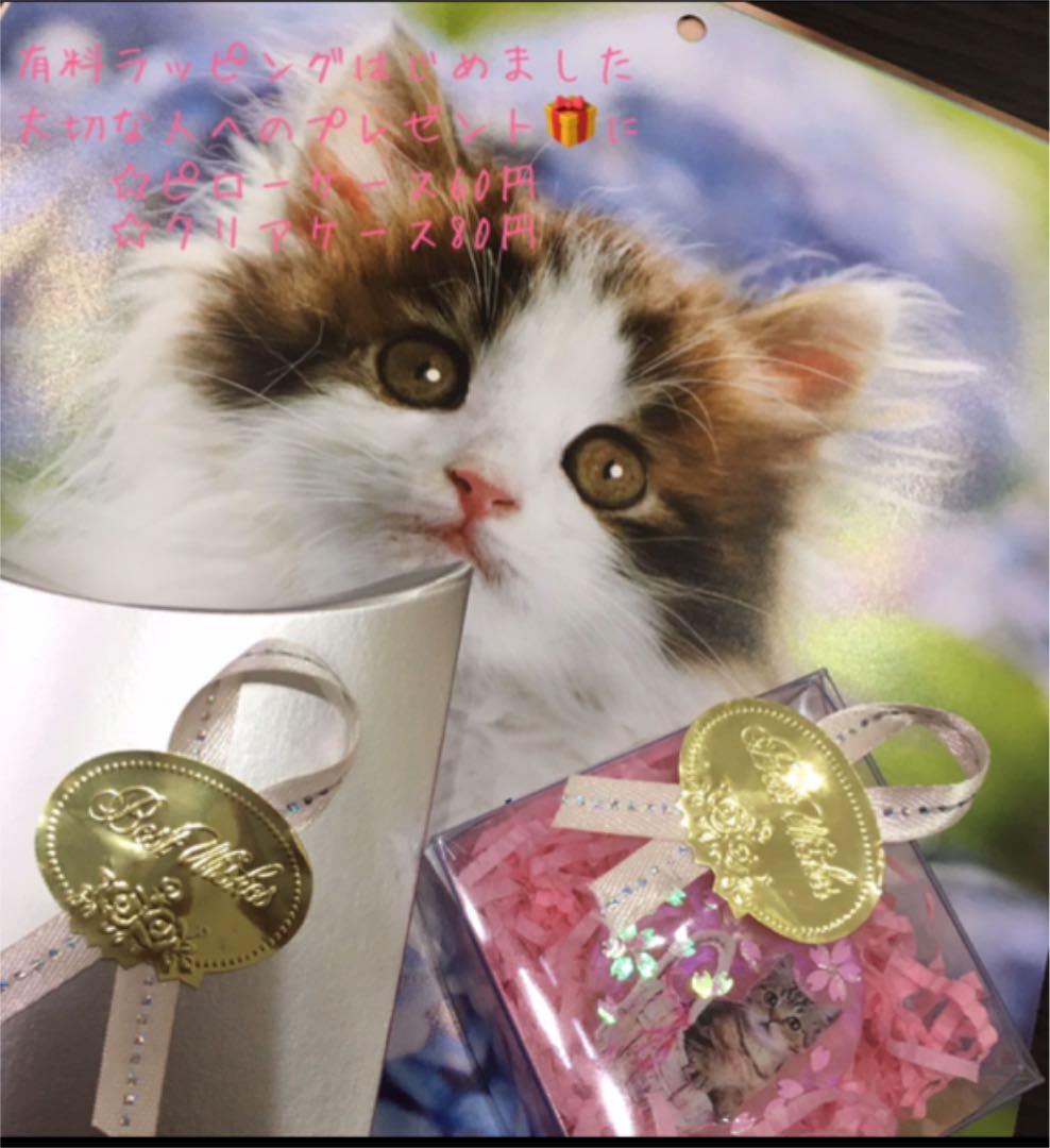 レジンヘアゴム、新作・星☆の猫ちゃん