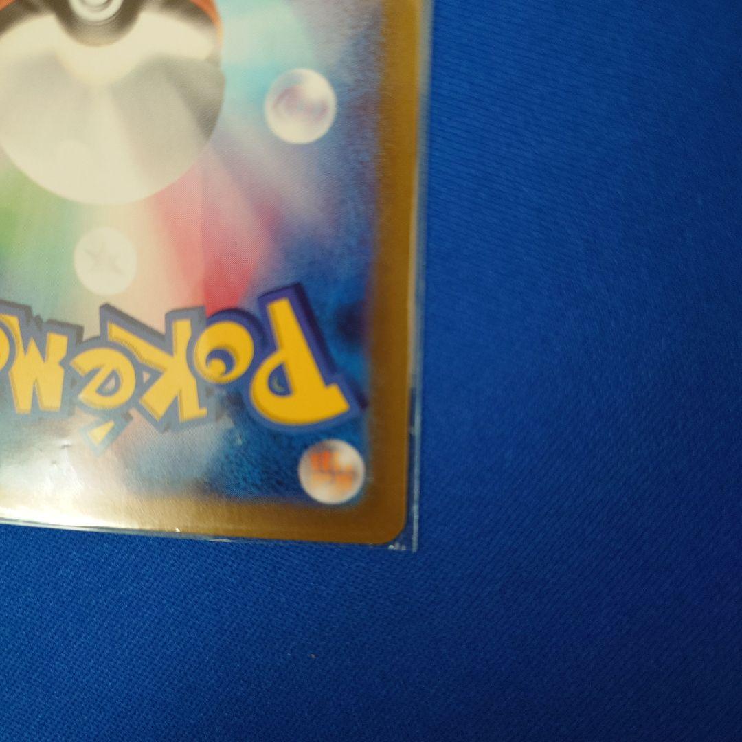 エリカの招待　sar