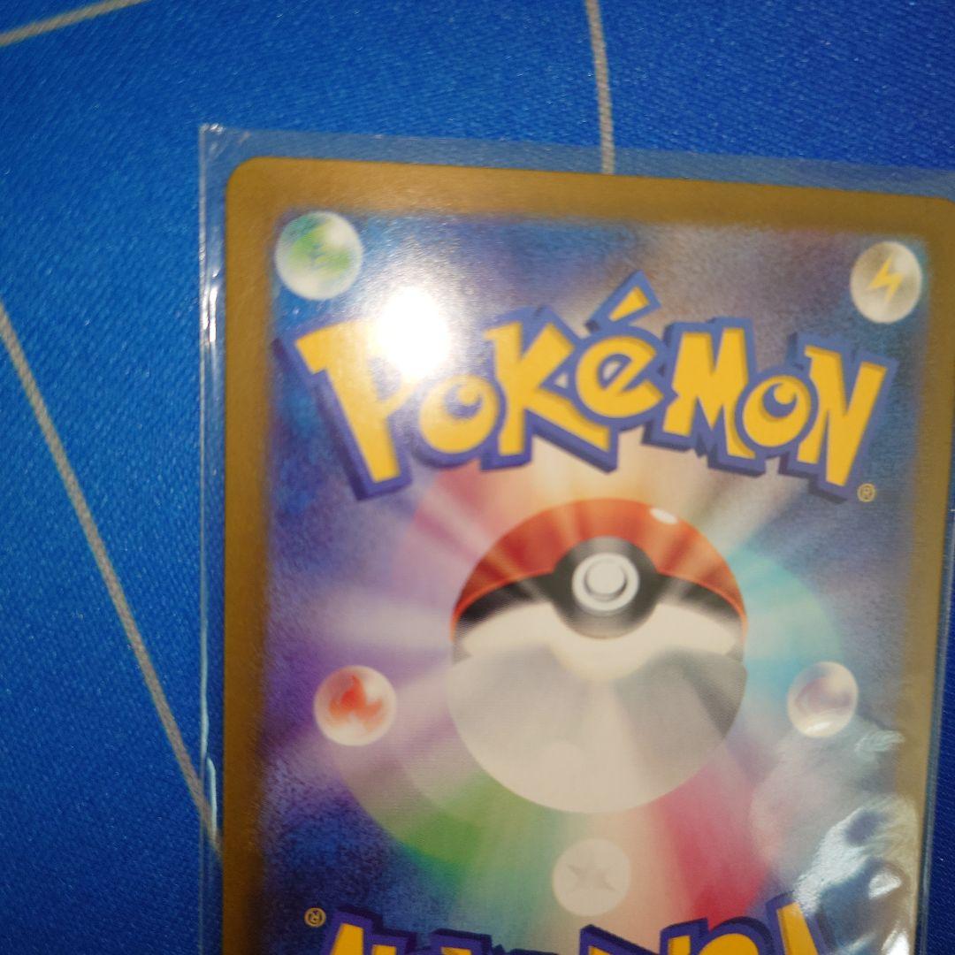 エリカの招待　sar