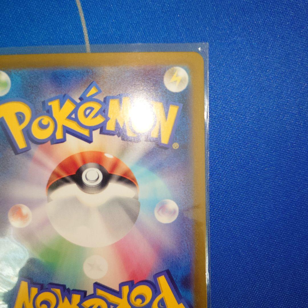 エリカの招待　sar