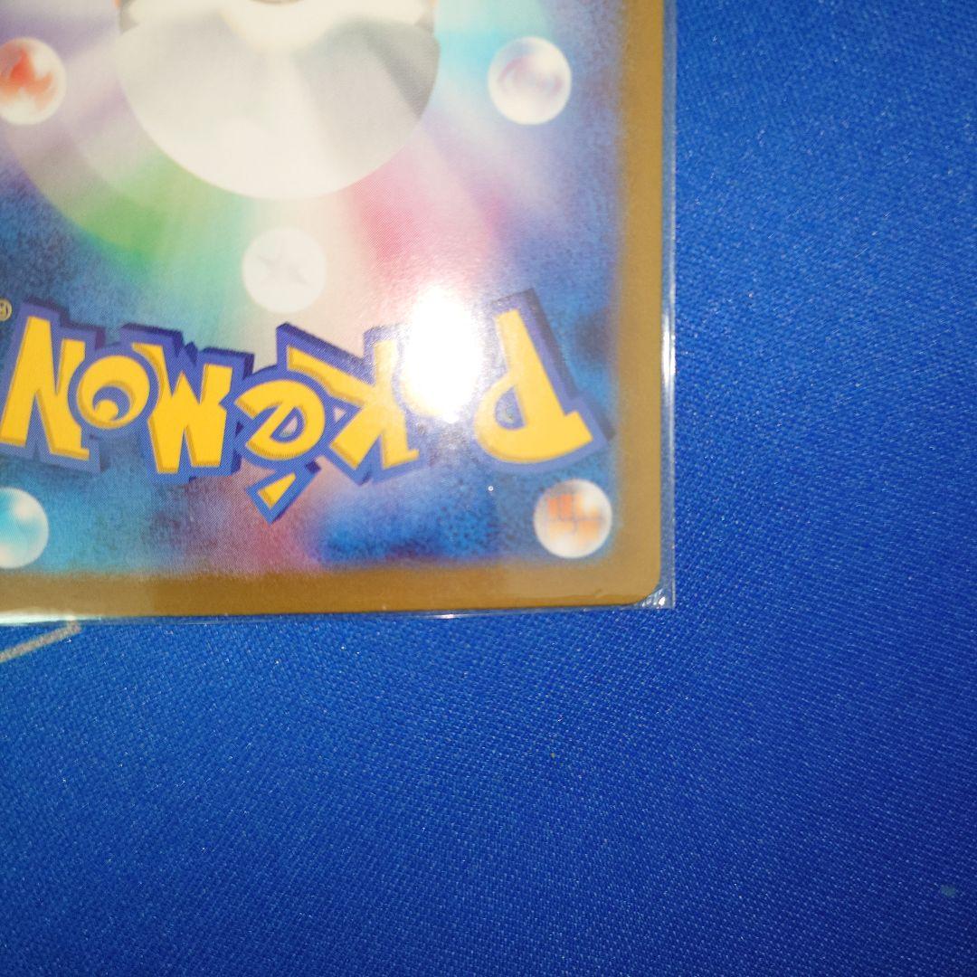 エリカの招待　sar