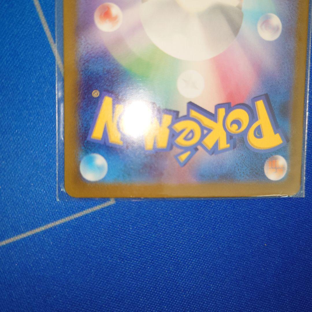 エリカの招待　sar