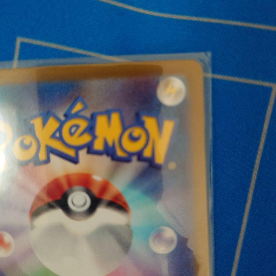 エリカの招待　sar