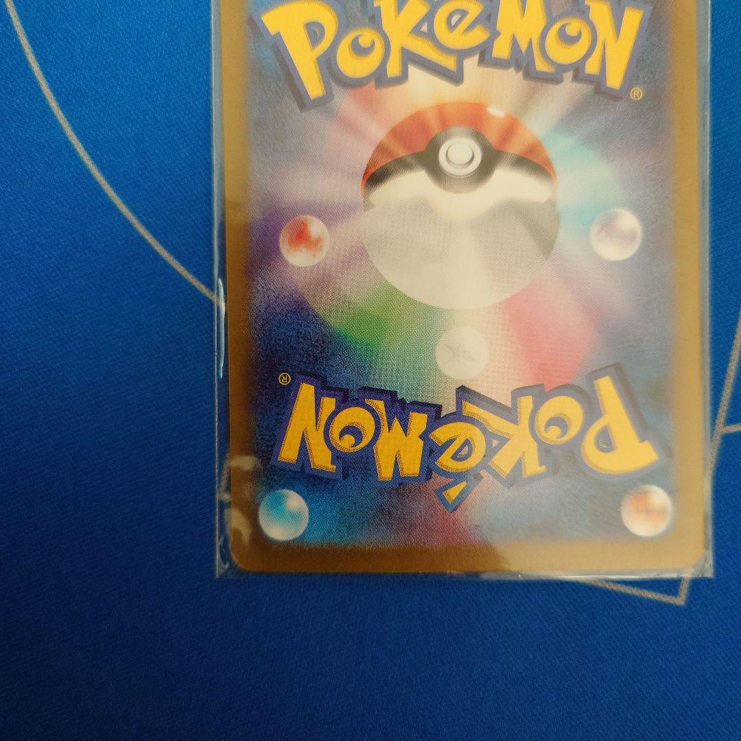 エリカの招待　sar