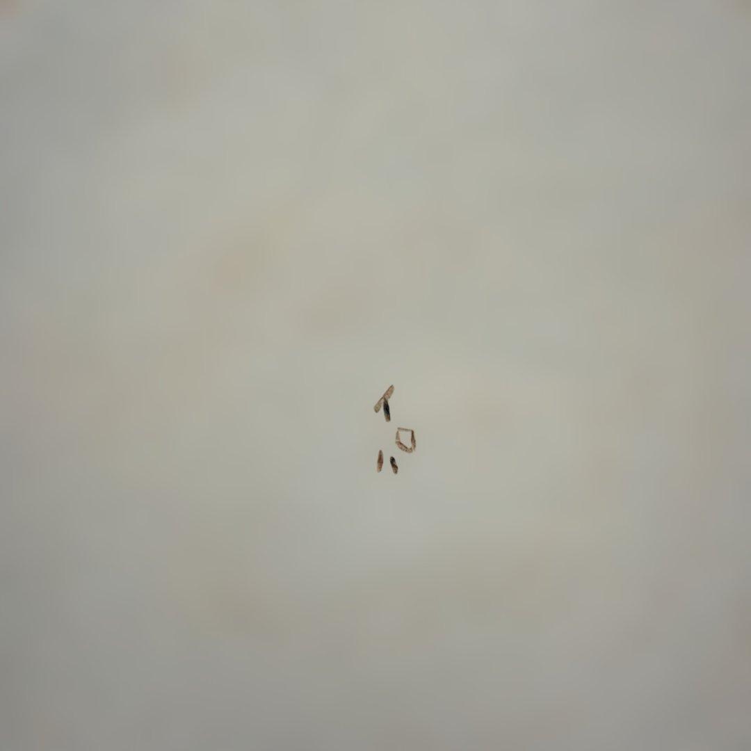 工房いろは　皿　２枚　沖縄　やちむん ６寸