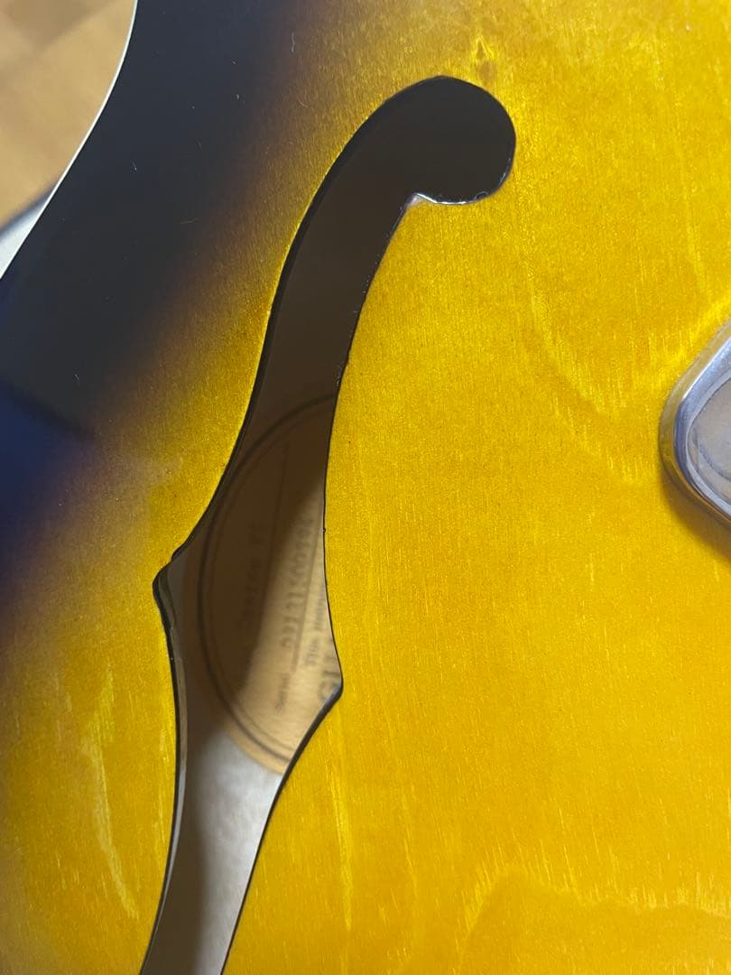 ふゆワタル純正ハードケース付き！Epiphone casinoカジノ