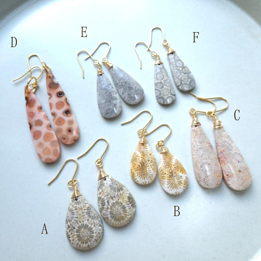 【A】珊瑚の化石 フォッシルコーラルのペアシェイプ ピアス