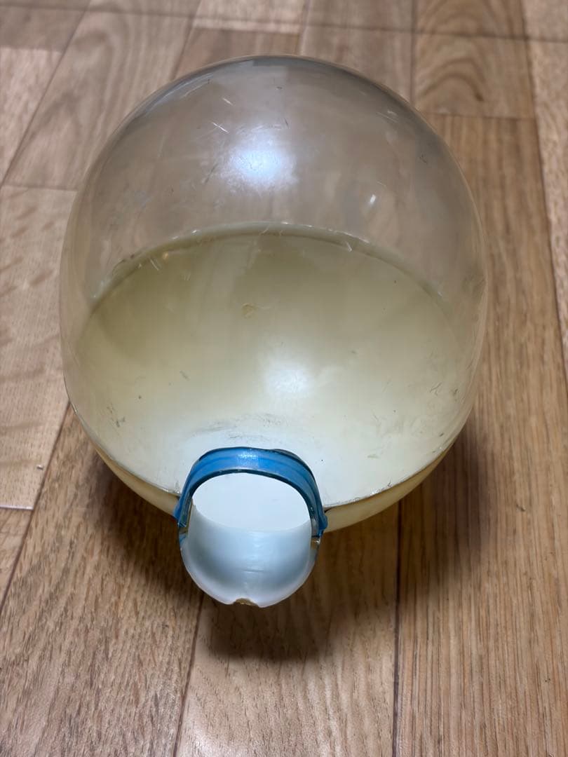 60s SNOOPY スヌーピー アストロノーツ ポケットドール ヴィンテージ