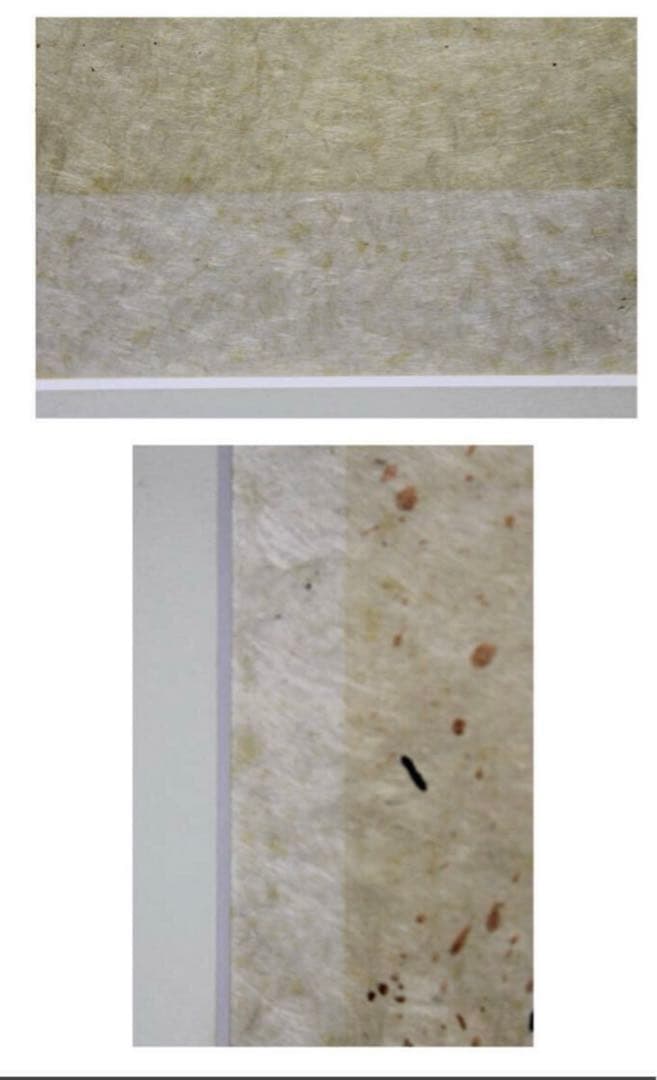 ダリ（Dali）ドンキホーテ（ペガサス）リトグラフ 直筆サイン エディション