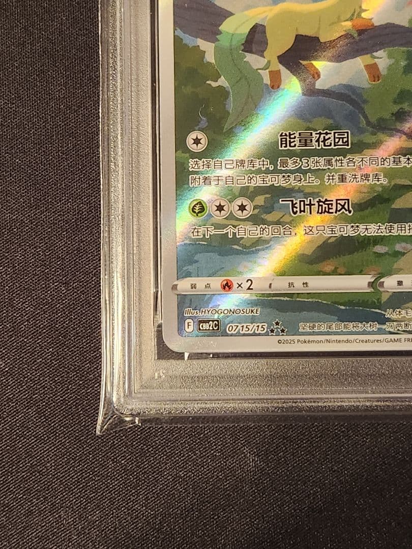 リーフィア AR 中国 簡体字 PSA 10