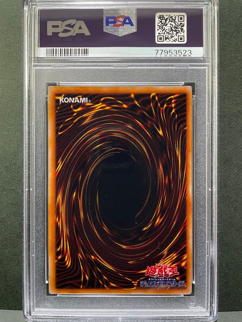 ゲートガーディアン　PSA8