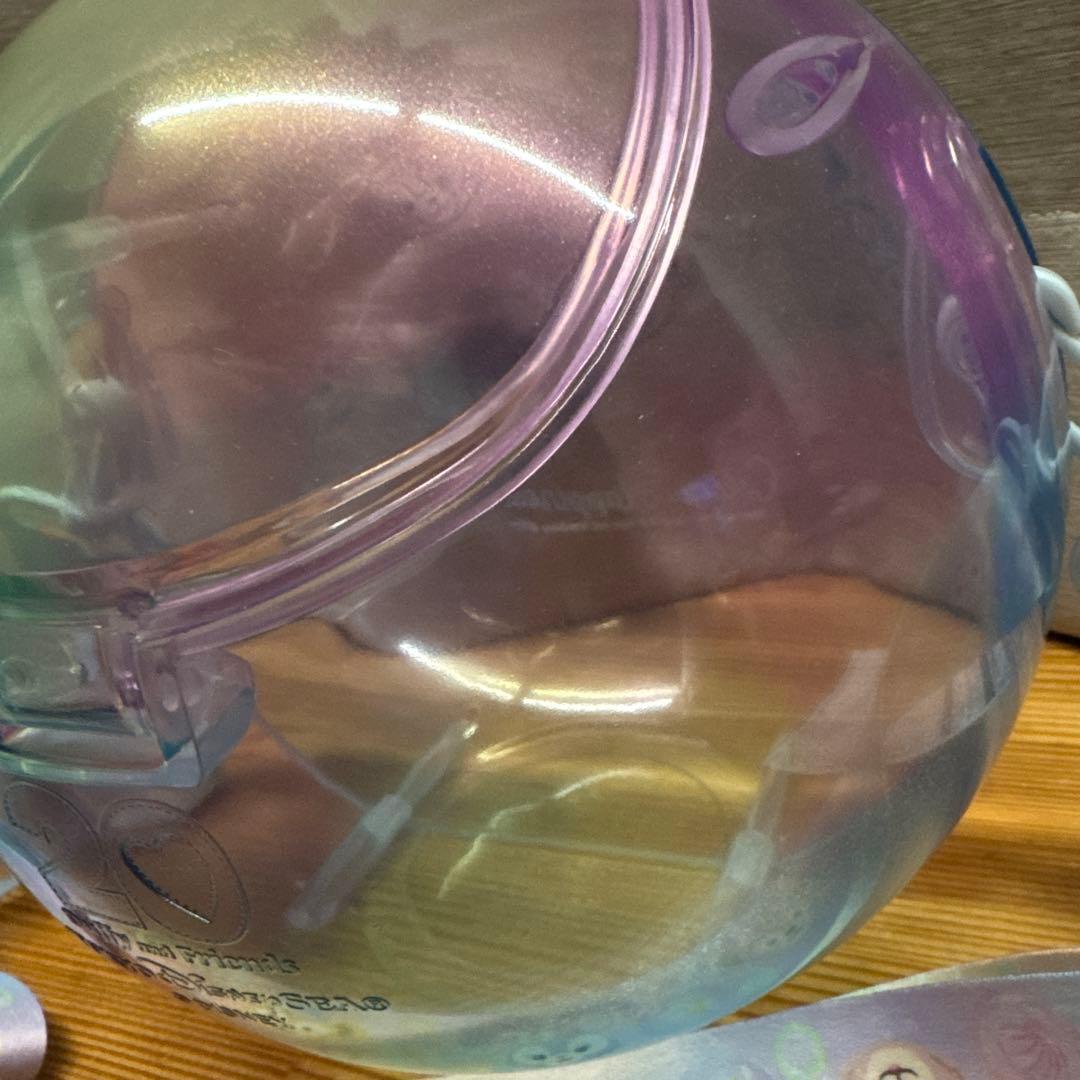 ディズニー ダッフィー&フレンズ20周年 カラフルハピネス ポップコーンバケット