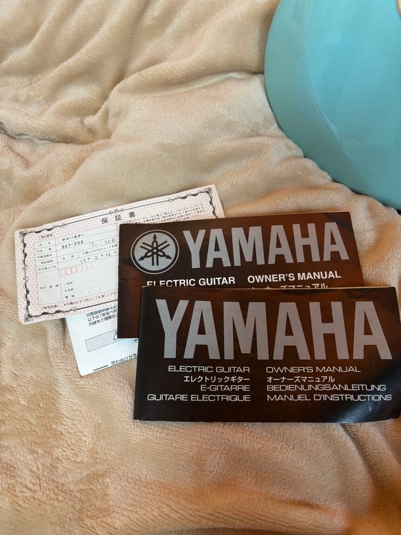 【1/5まで】YAMAHA ヤマハ sgv300 ソフトケース付き