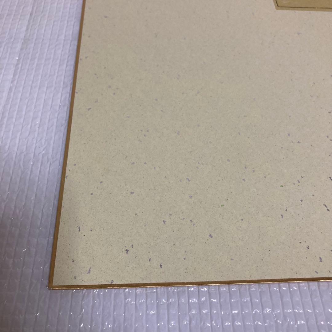 TS78 井上富夫 牡丹 色紙 日本画 花の絵 豪華 縁起物 伝統工芸 和室