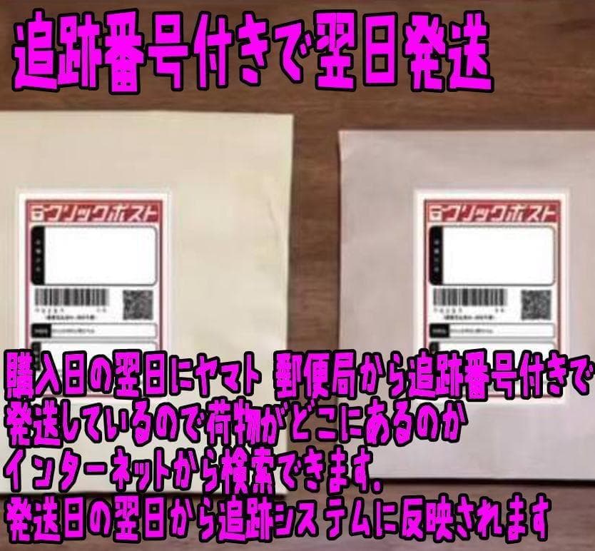 バッジ ジムリーダー　ホウエン地方　８種セット　布巾付リボン袋付【残3のみ】