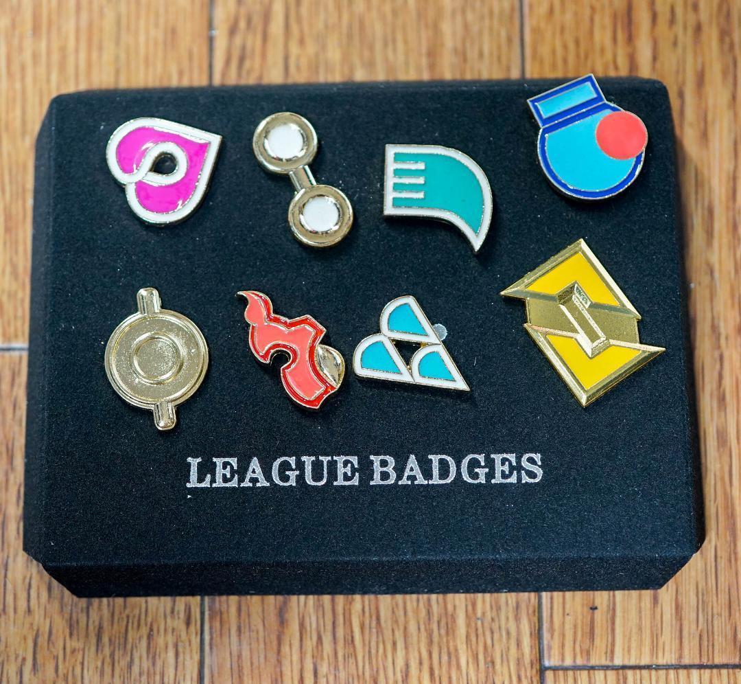 バッジ ジムリーダー　ホウエン地方　８種セット　布巾付リボン袋付【残3のみ】