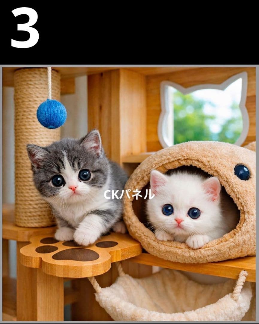 オーダーページ　ハンカチ437キャットタワー柄　ハンドメイド2/24