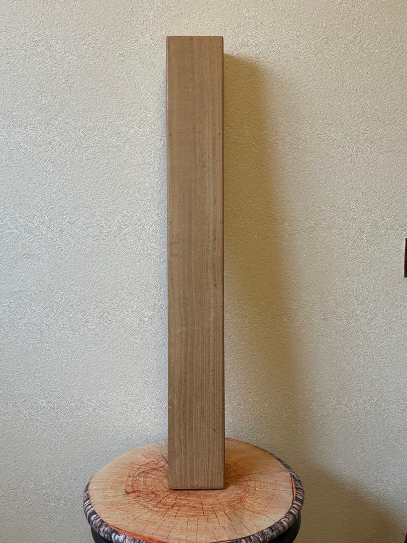 前大徳寺・龍王紹真【大橋香林】 横幅【関】一字