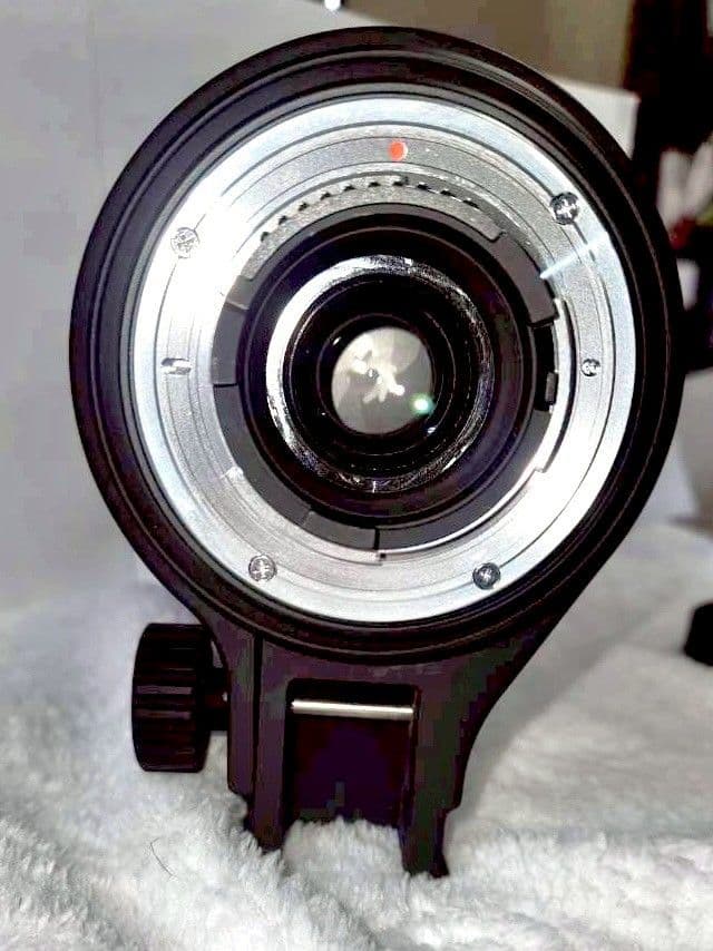 SIGMAシグマAPO50-500mmF4.5-6.3 DGOS HSMニコン用