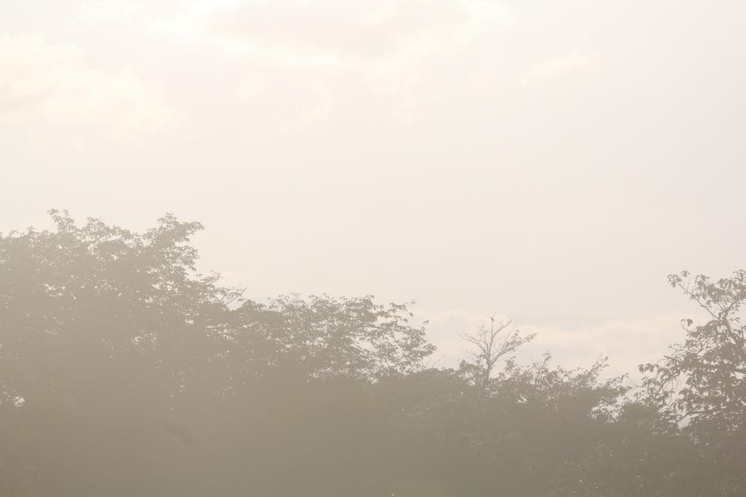 シグマ APO 150-500mm F5-6.3 DG キャノン用