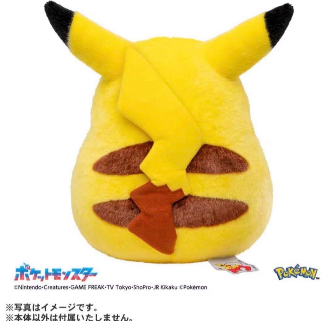 ポケモン30周年記念おかえり!ピカチュウ1/1 専用BOX付き